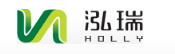 山東泓瑞醫(yī)藥科技股份公司logo