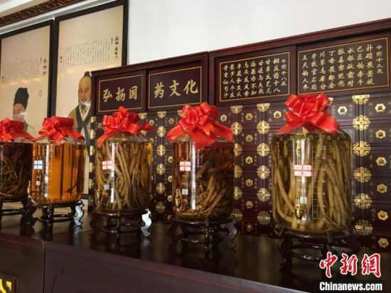 2020年6月，甘肅省定西市渭源縣田家河鄉(xiāng)元古堆村一家中藥材生產(chǎn)加工企業(yè)的藥材展示。 (資料圖) 張婧 攝